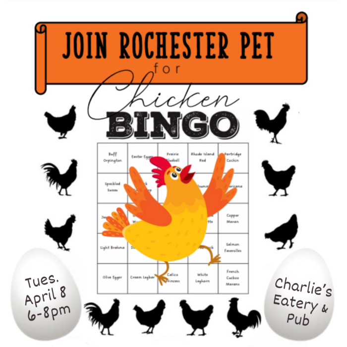 Chicken Bingo Ticket 2025